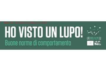 Misure da adottare in presenza del lupo.